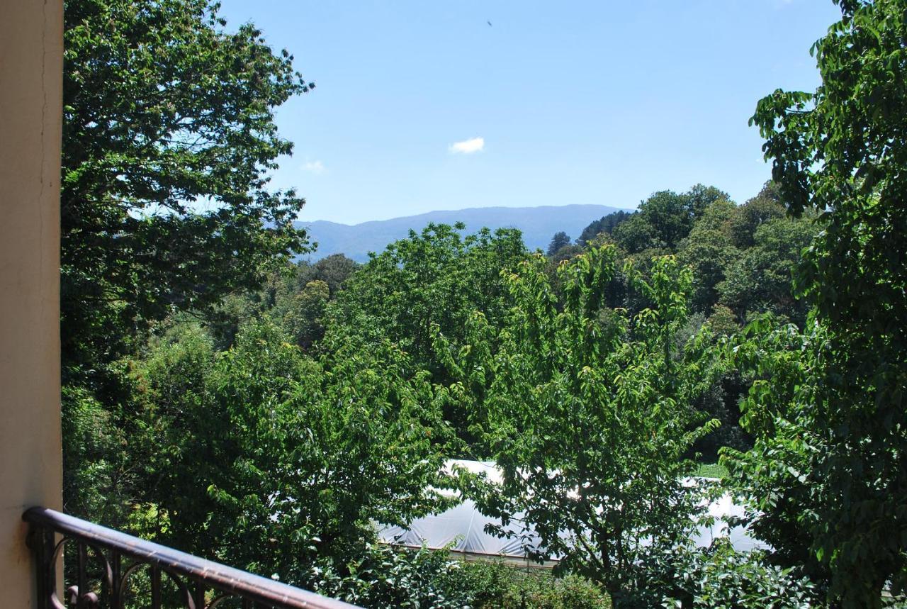 Agriturismo Roseto Villa Serra San Bruno Exteriör bild
